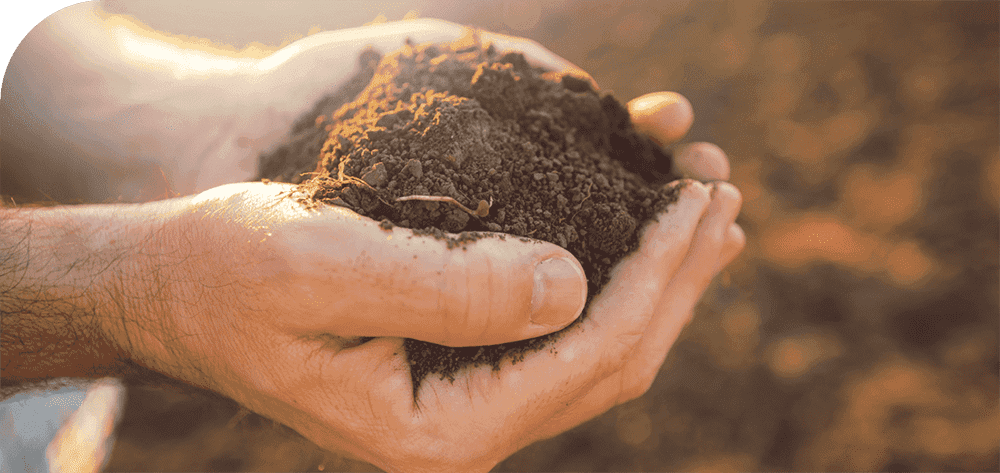 圓盤干燥機(jī) | 國(guó)際主流技術(shù)